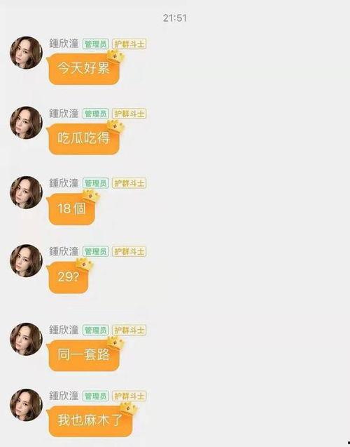 娱乐圈吃瓜最新网址,娱乐圈最新吃瓜网址大揭秘！