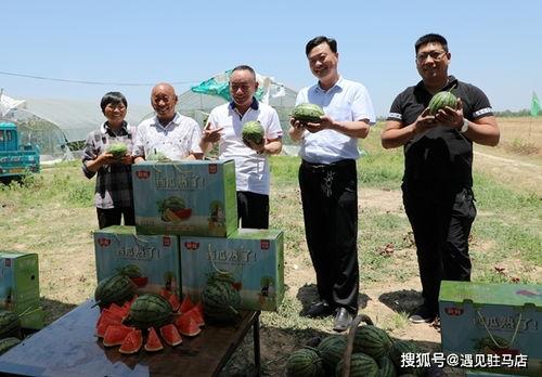 小卦专吃影视娱乐瓜,影视娱乐圈幕后风云