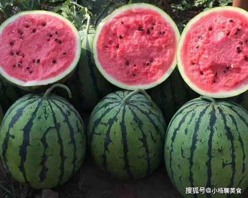 笑不活了娱乐吃瓜酱,笑不活了！娱乐吃瓜酱带你揭秘娱乐圈那些鲜为人知的幕后故事