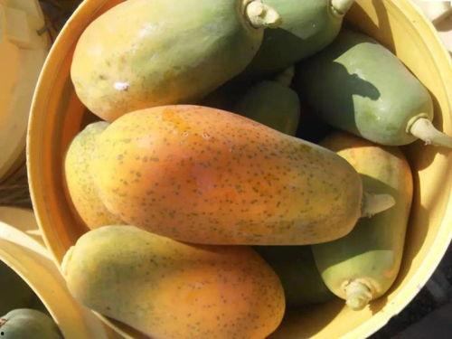 娱乐718sx吃瓜,揭秘娱乐圈最新吃瓜事件