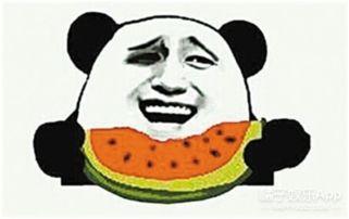 娱乐吃瓜蜀黍毛球,揭秘娱乐圈幕后故事