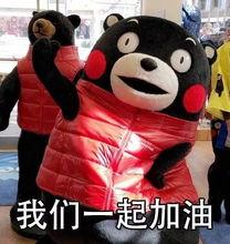 娱乐吃瓜蜀黍毛球,揭秘娱乐圈幕后故事