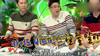 吃瓜娱乐街,网红打卡地背后的故事与魅力