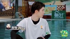 娱乐圈吃瓜杨迪,娱乐圈吃瓜达人，揭秘幕后故事