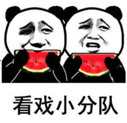 娱乐搞笑吃瓜,吃瓜群众笑翻天！