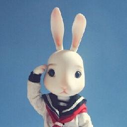 娱乐吃瓜直播间兔子,揭秘娱乐圈幕后吃瓜大揭秘