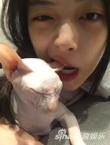 娱乐吃瓜酱虐猫博主,揭秘网络暴力背后的真相