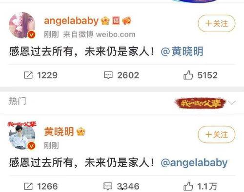 吃瓜娱乐揭秘下载,热门内容背后的秘密大公开