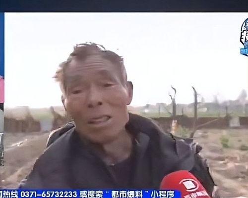 娱乐吃瓜酱76岁爷爷,揭秘娱乐圈背后的故事