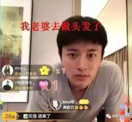 娱乐吃瓜电视剧全集小花,娱乐圈风云录