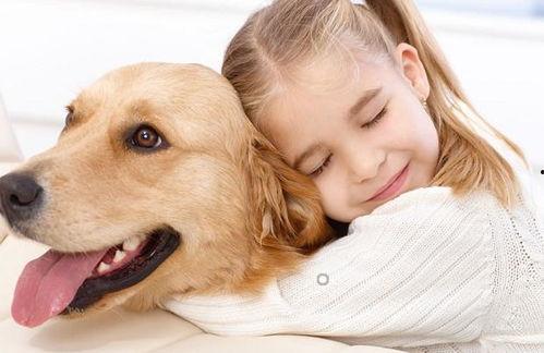 娱乐吃瓜宠物推荐,盘点那些爱看热闹的萌宠