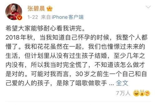 娱乐圈吃瓜群众之歌,揭秘“吃瓜群众”之歌背后的故事