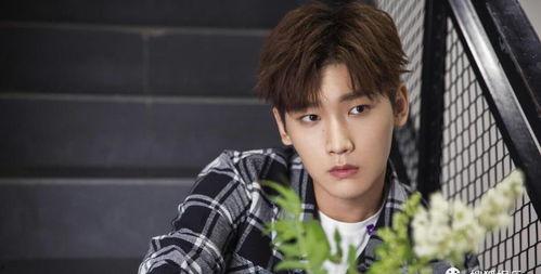 娱乐圈吃瓜爆料王琳凯,揭秘明星背后的故事