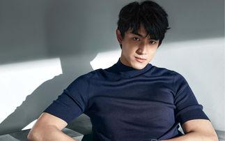 娱乐圈吃瓜爆料林更新,娱乐圈爆料背后的真相与争议