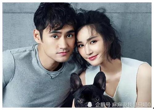 娱乐圈张杰谢娜吃瓜爆料,揭秘明星夫妻的甜蜜与争议